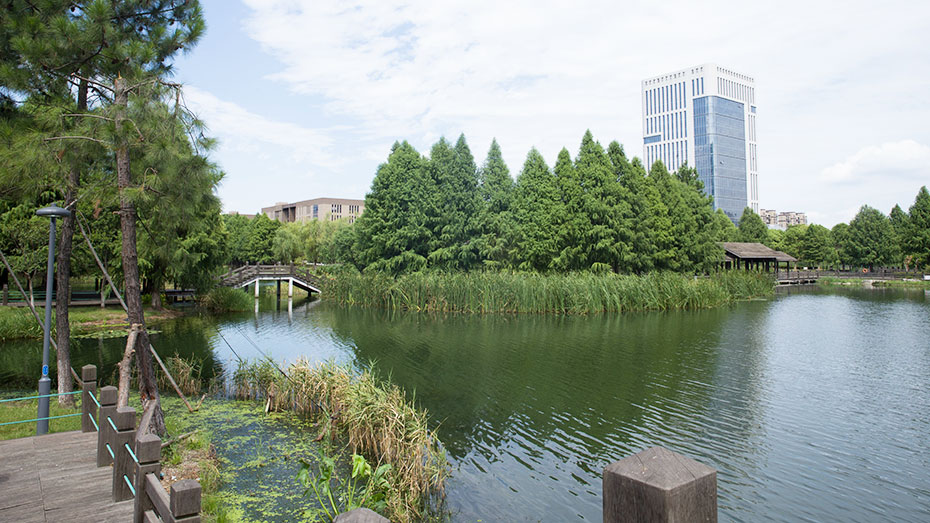 中新生態(tài)城濕地公園園林案例