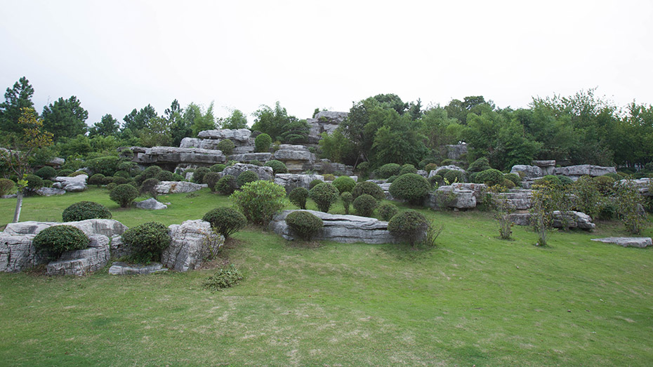 蓮池湖公園園林案例